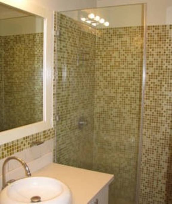 Downstairs bathroom complete with shower door