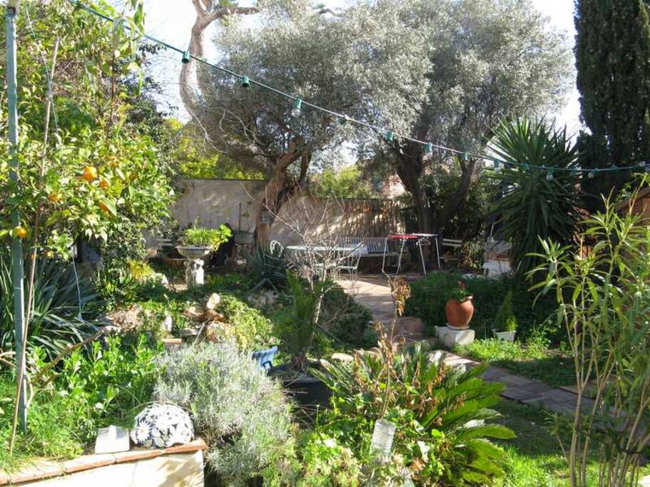 jardin méditerranéen arboré et clôturé