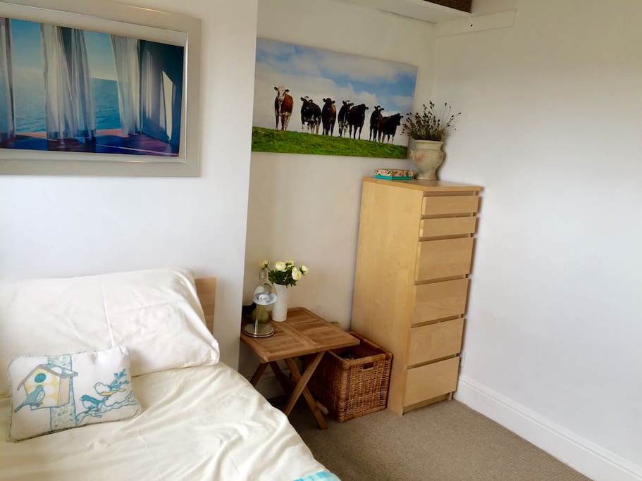 Good-sized, bright single room