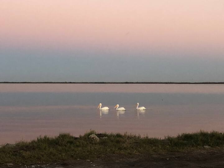 Matagorda Island Vacation Rentals & Homes Texas, United States Airbnb