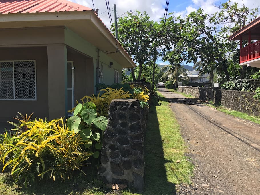 This is our rental with the yellow plants.