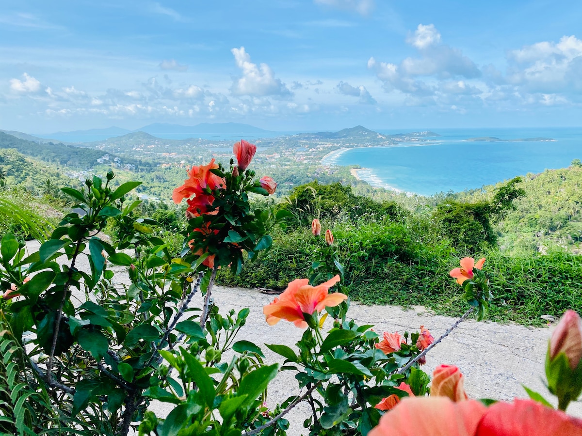 A vibrant foreground of blooming orange flowers frames a spectacular view of the coastline and distant mountains. The vast ocean extends into the horizon under a clear blue sky, suggesting a tranquil and sunny day in Koh Samui.