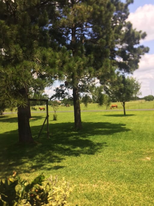 Wake up to the view of horses or take a morning stroll down a private street and feed the horses,,