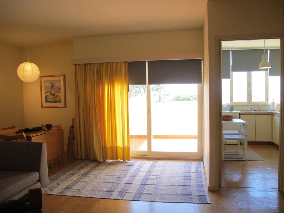 Living room and kitchen
