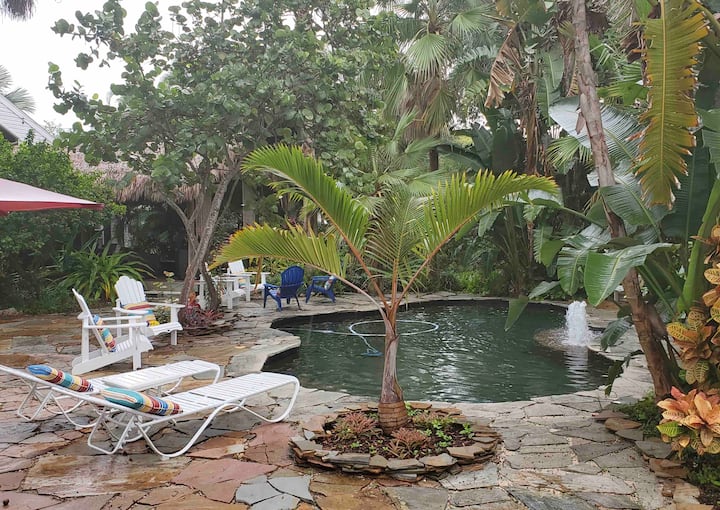 Dunedin Beach Vacation Rentals & Homes Dunedin, FL Airbnb