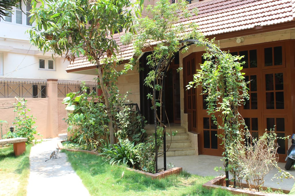 Our garden