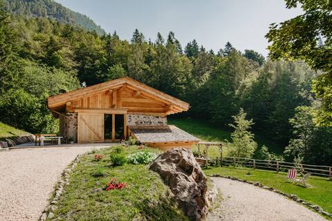 Odomi Maso Nel Bosco