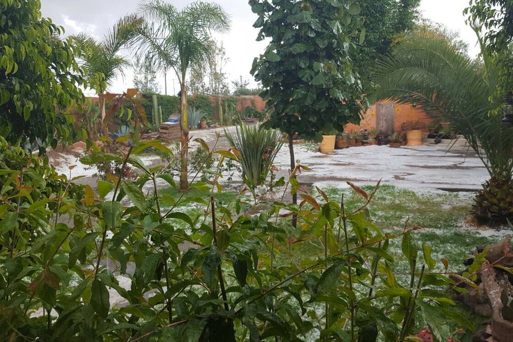Jardines