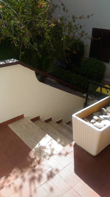 ingresso