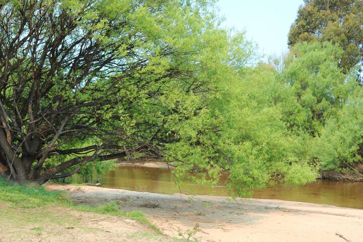 George River Park (Prestige Acreage Home, Animals) gallery image 3