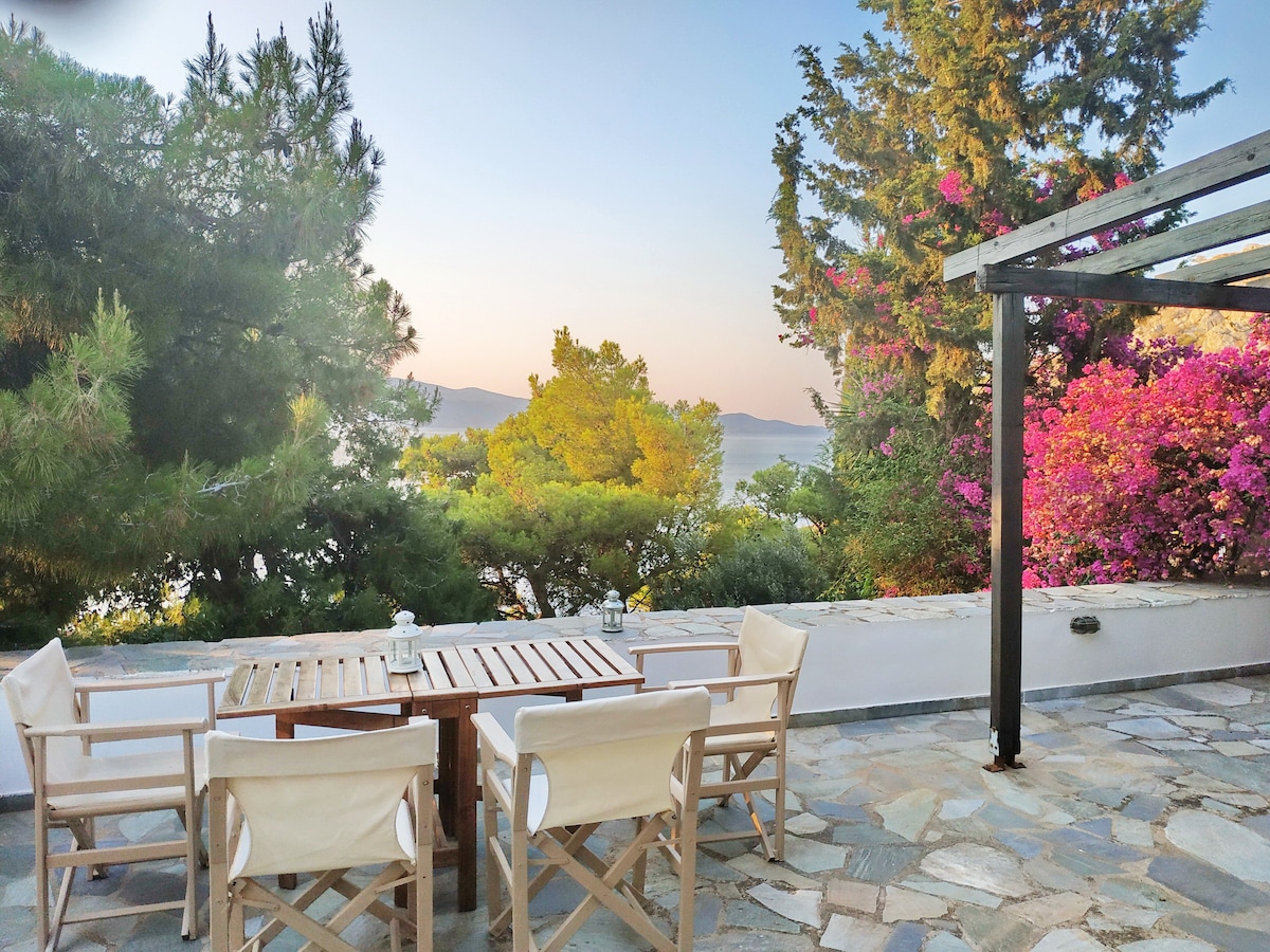 The spacious veranda features a wooden dining table surrounded by four light-colored chairs. Vibrant flowers and lush trees create a picturesque backdrop against the soft morning light, enhancing the serene outdoor atmosphere.