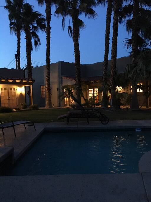 Watch the stars in the evening through the Palm Trees.