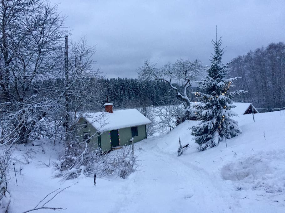 Winter at the cottage. Skiing available. Many nearby ski resorts.