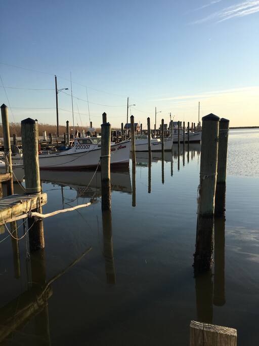 Marina at Saxis Island.
Bring Your Boat, (free boat ramp)
Just a 5 minute drive!