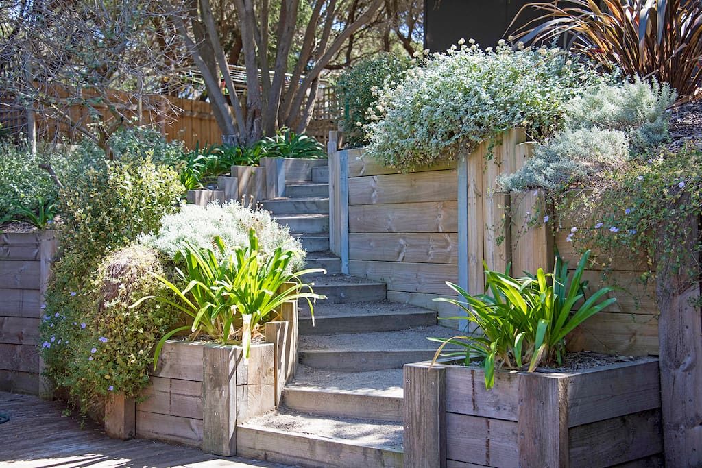 The stairs lead you up to the native garden in the backyard