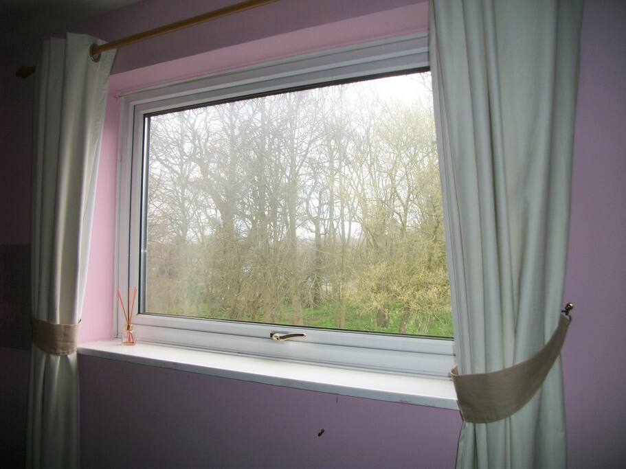 lovely view of woods from window