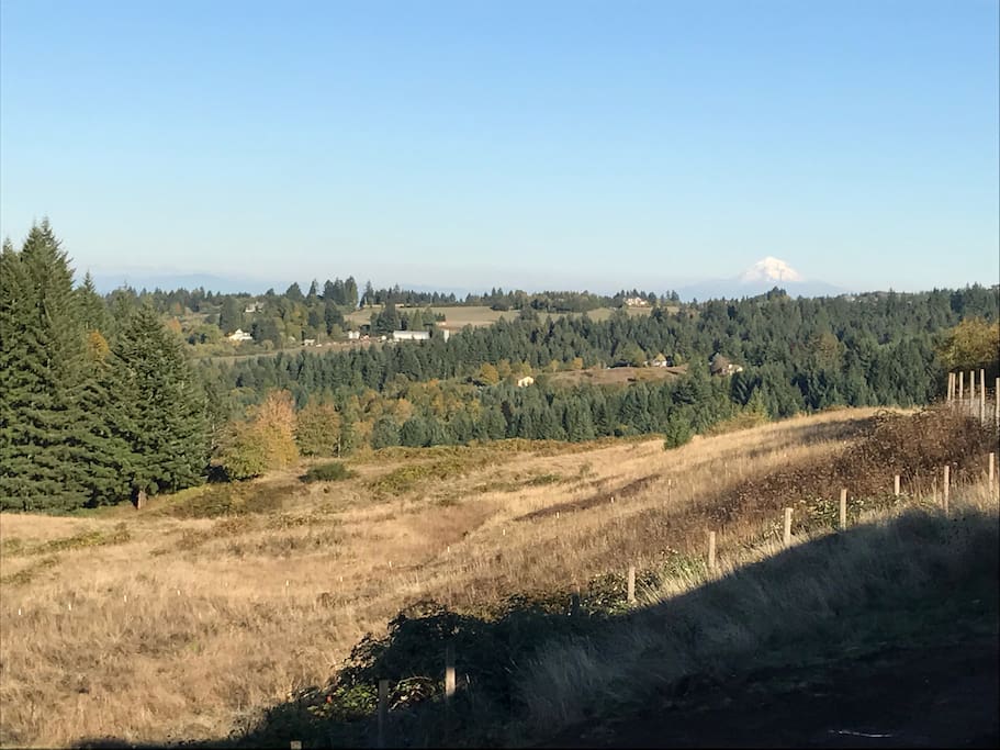 Sweeping Mt Hood views to the east