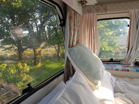 Teacup Vintage Caravan at the Greenhouse Cabin