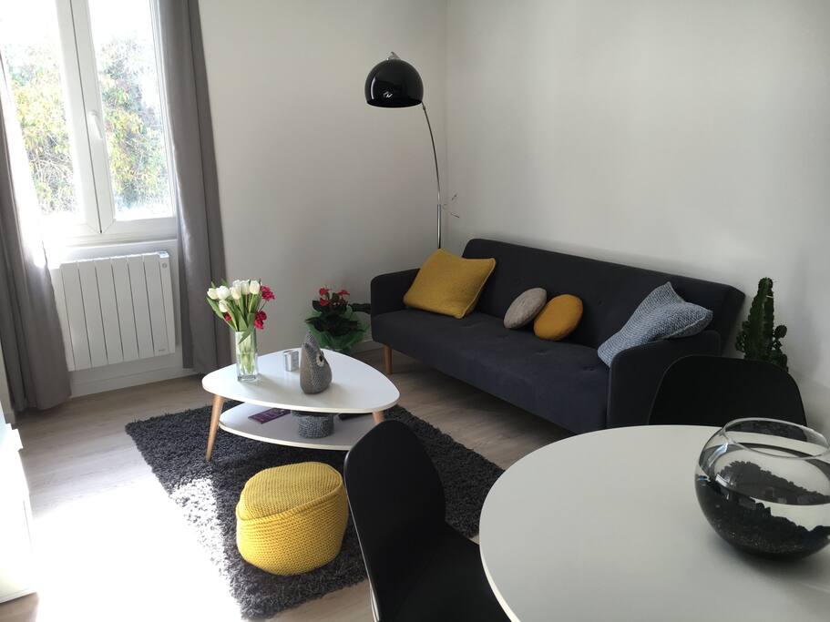 Salon composé d'une banquette convertible pour 2 personnes.