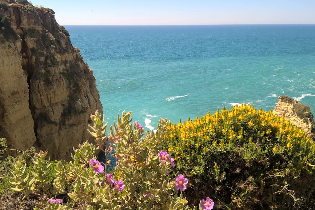 Algarve coast