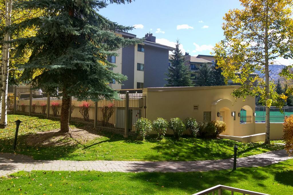 View from patio