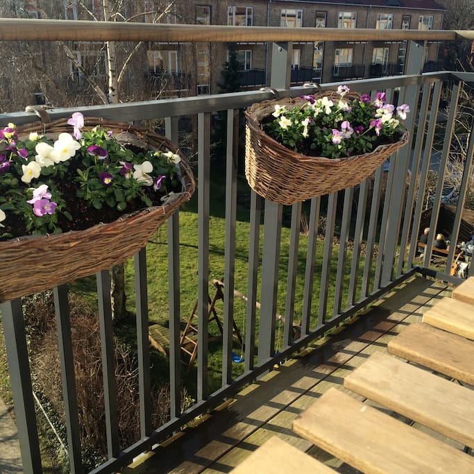 The Balcony