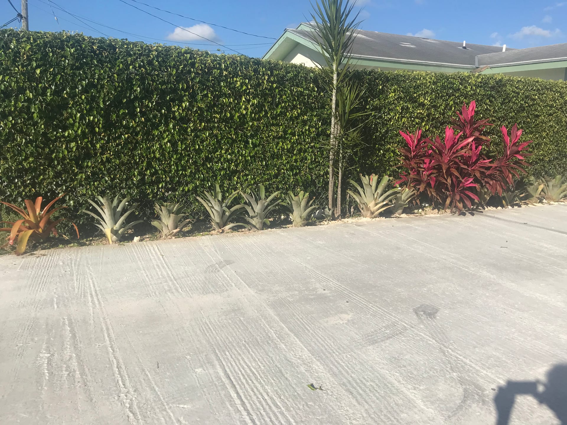 The Bahamas Petapat suite — foto 5