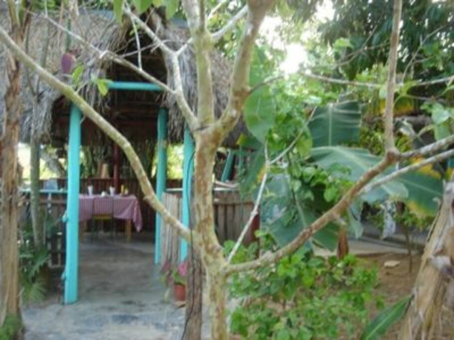 Terrace 1