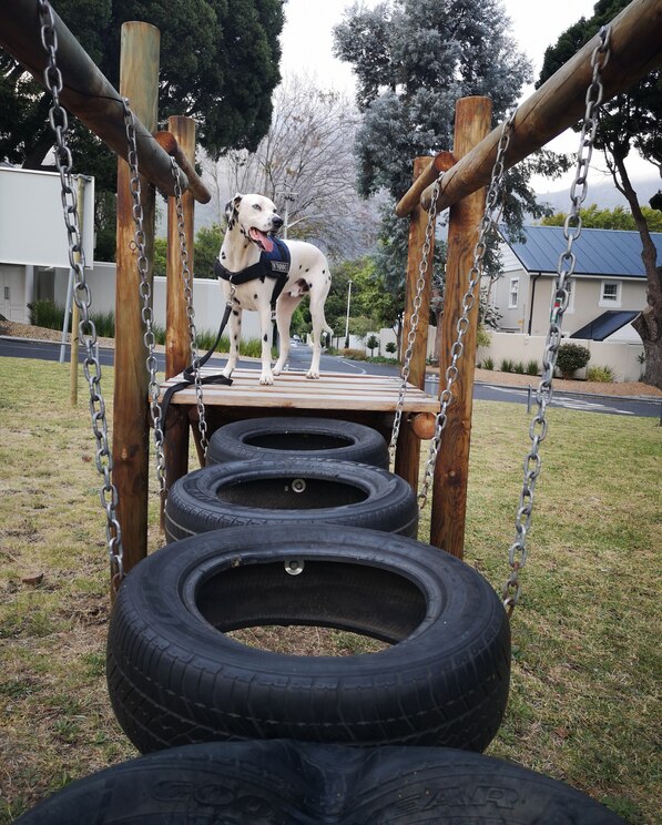 Show full-screen, host-provided image