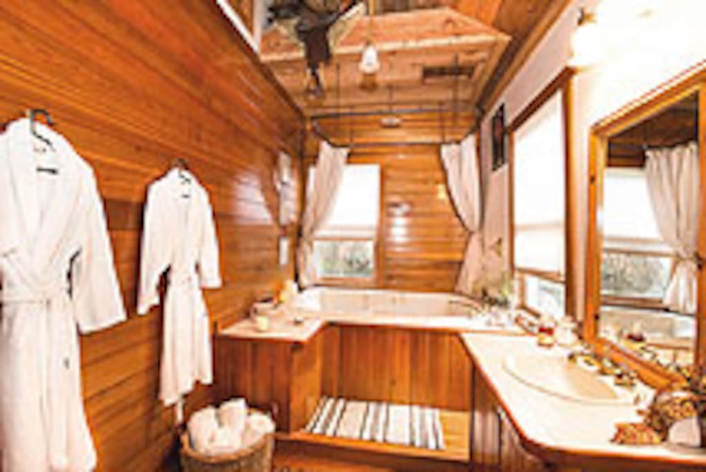 Spa like atmosphere with jetted tub and rainshower