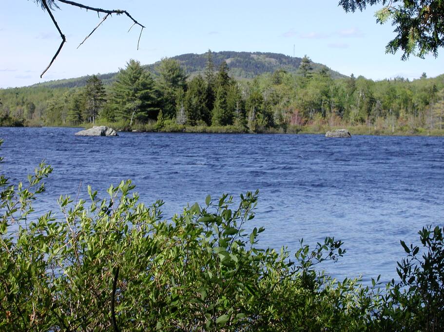 Wood's Pond from the dock.