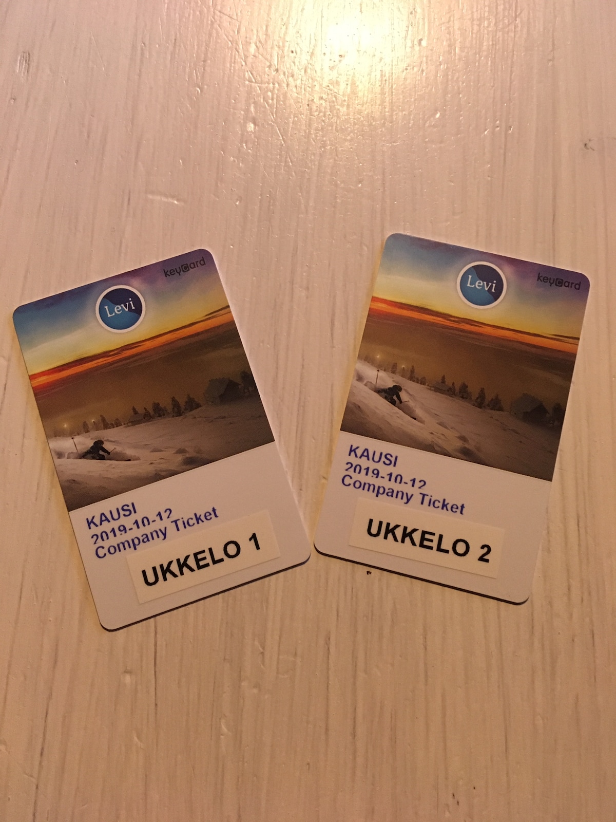 Two ski lift tickets are displayed, featuring a scenic winter landscape and the word 'Levi' prominently featured. Both tickets are marked with the date and labeled as 'Company Ticket' with identification numbers, ready for use at the ski resort.