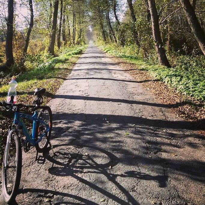 Cycling in the natural landscape park around