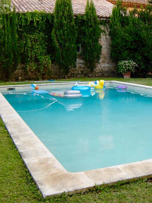 La piscine (12 mètres sur 6). The pool.