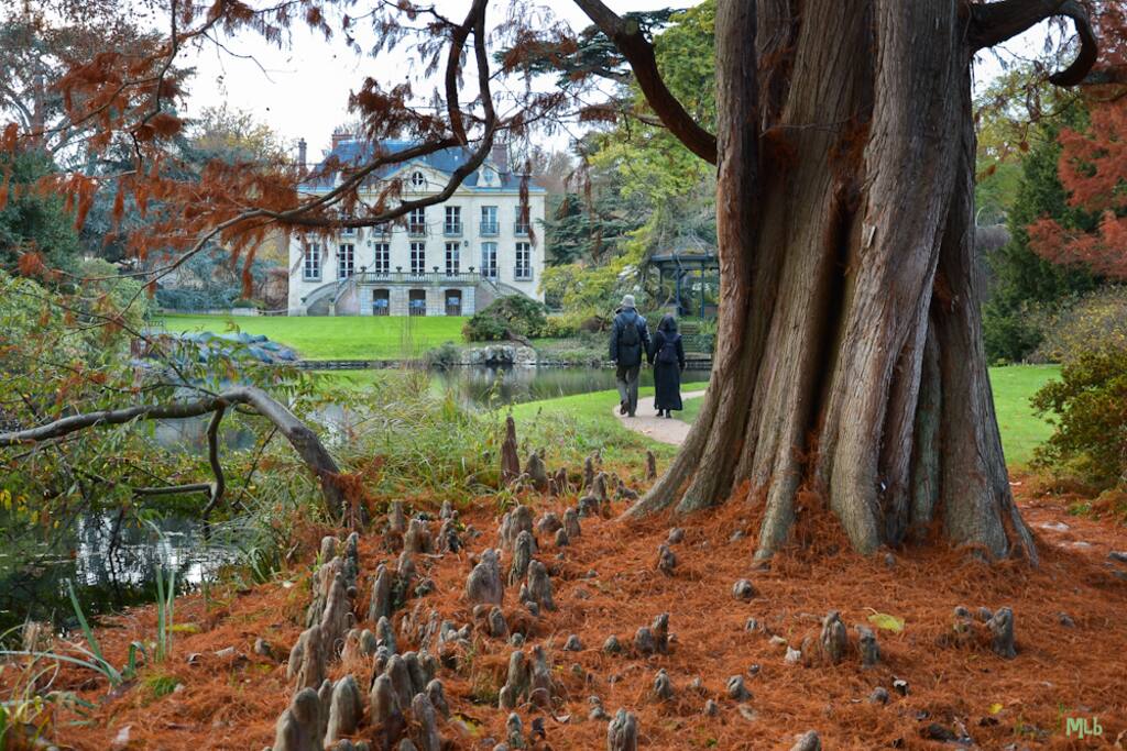 Parc de la vallée aux loups