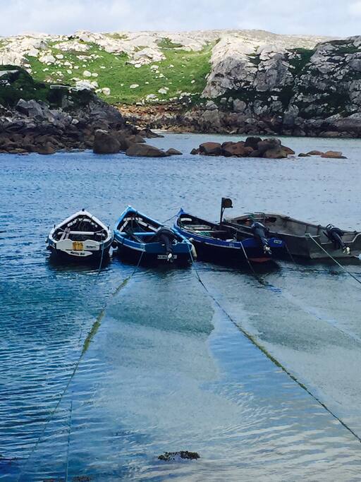 Ardmore dock... nearby