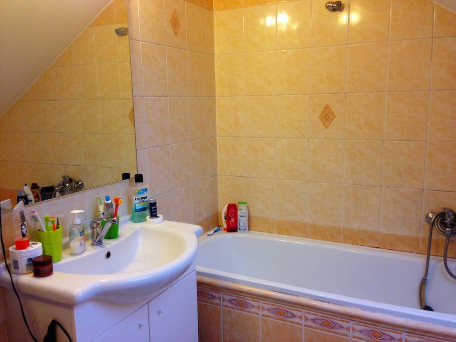 We actually have 2 bathrooms, one is with bath and another one is with shower. We provide shampoo and shower gels as well. :)