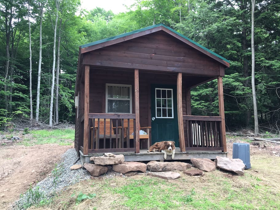 Nuthatch Cabin Cabins for Rent in Galeton, Pennsylvania, United States
