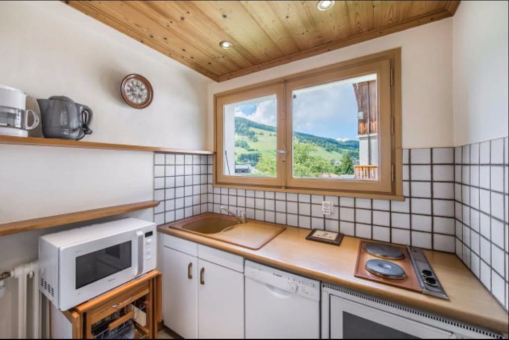 Fully equipped kitchen (oven, microwave, fridge and dishwasher)