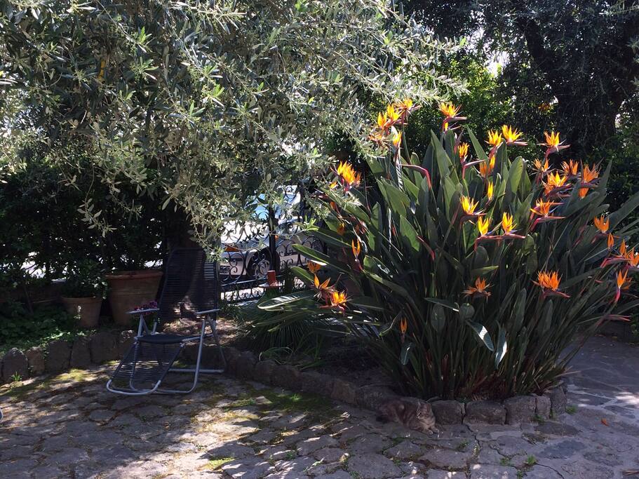 Il nostro giardino