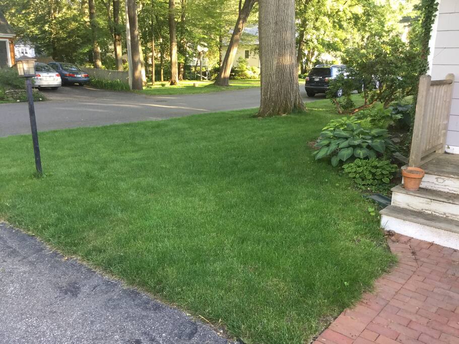 Front yard in very quite neighborhood