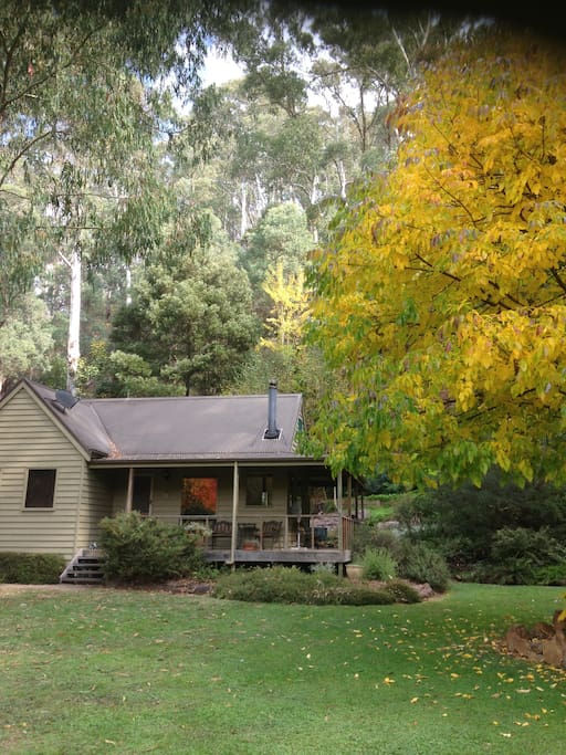 autumn setting at shady brook