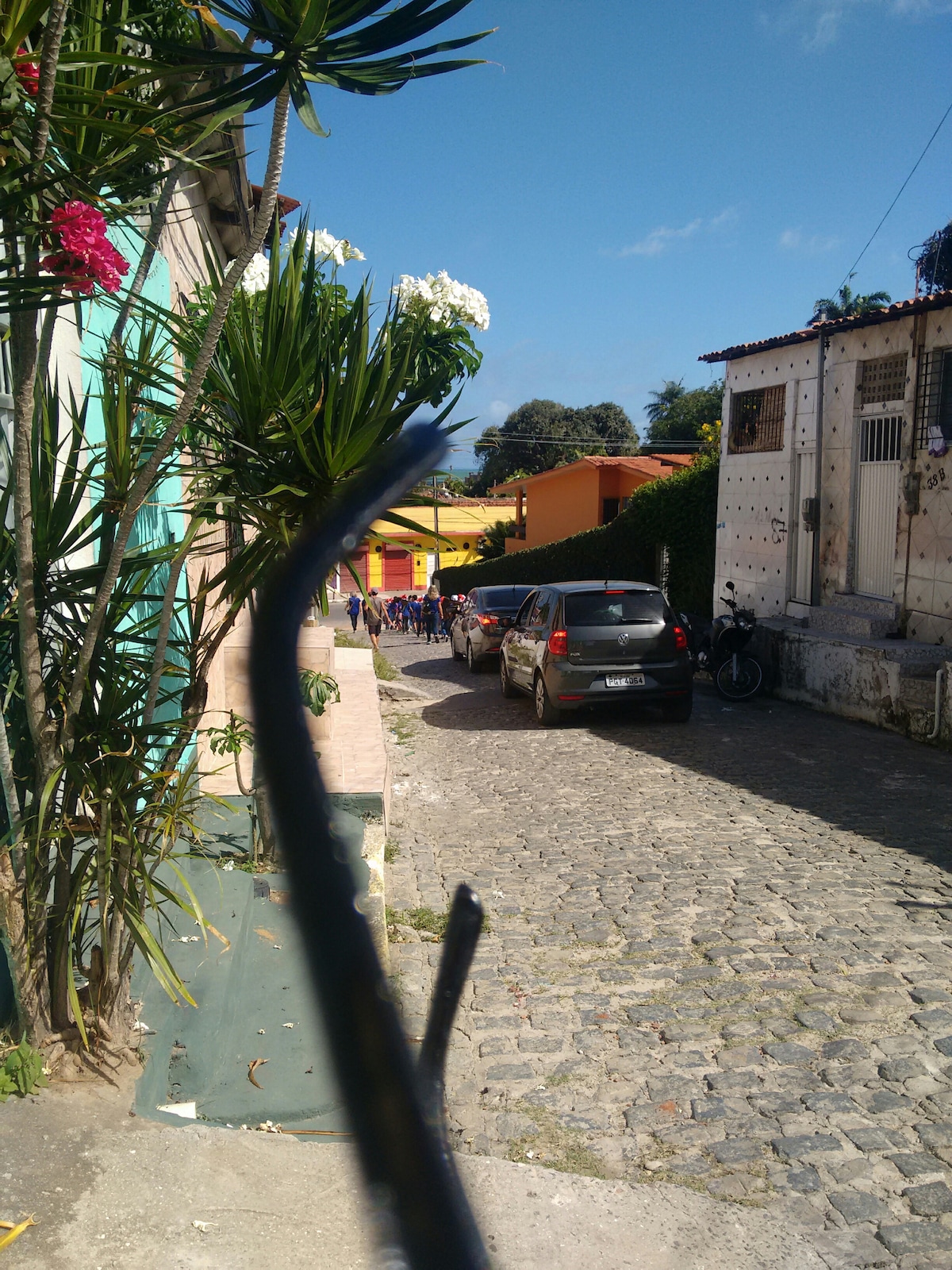 A narrow street is depicted, bordered by various buildings in vibrant colors and greenery. Pebbled pavement can be seen extending into the distance. Several vehicles are parked along the road, with trees and flowering plants framing the scene.