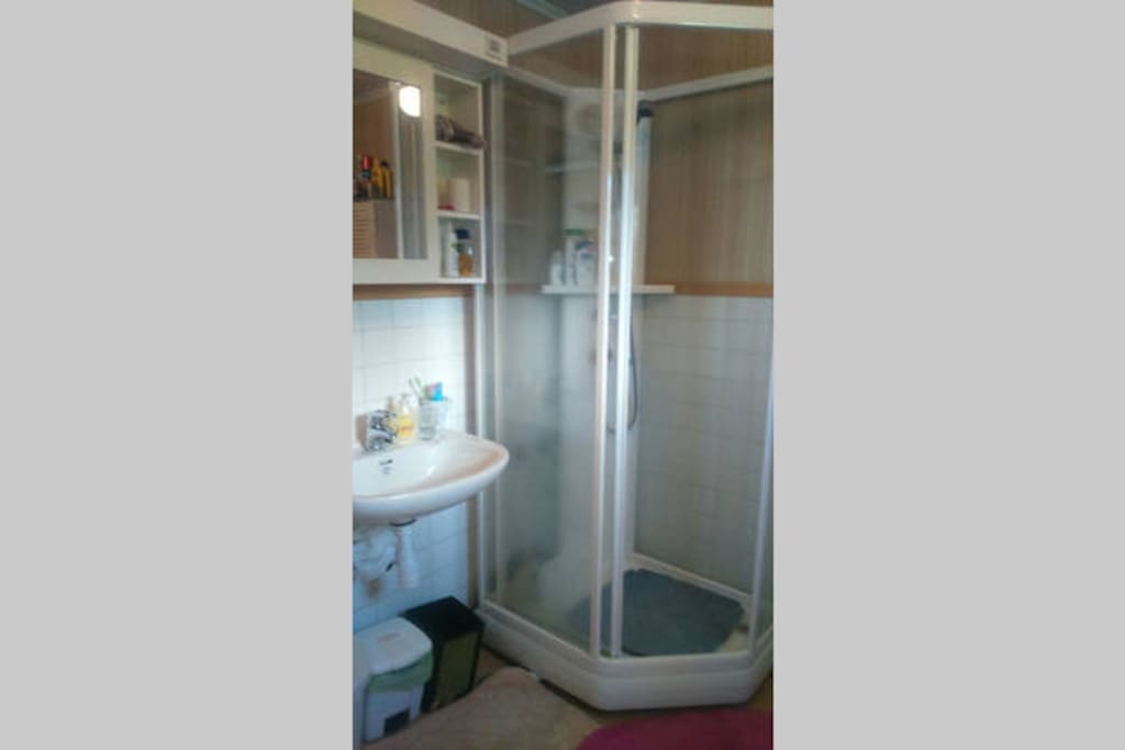 Shower and bathroom