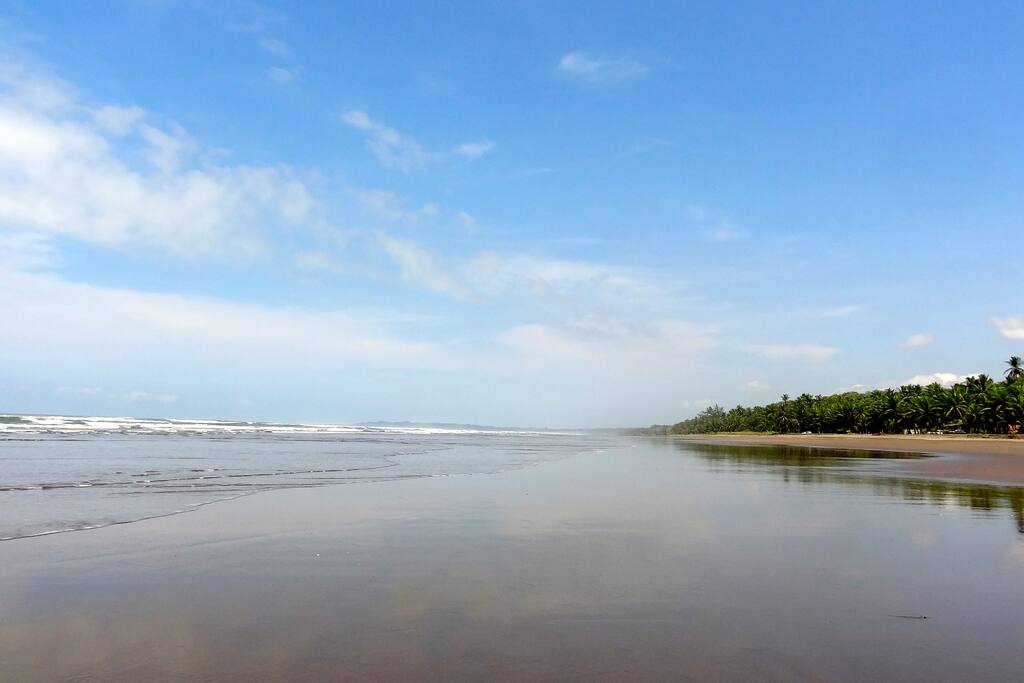 Beach area