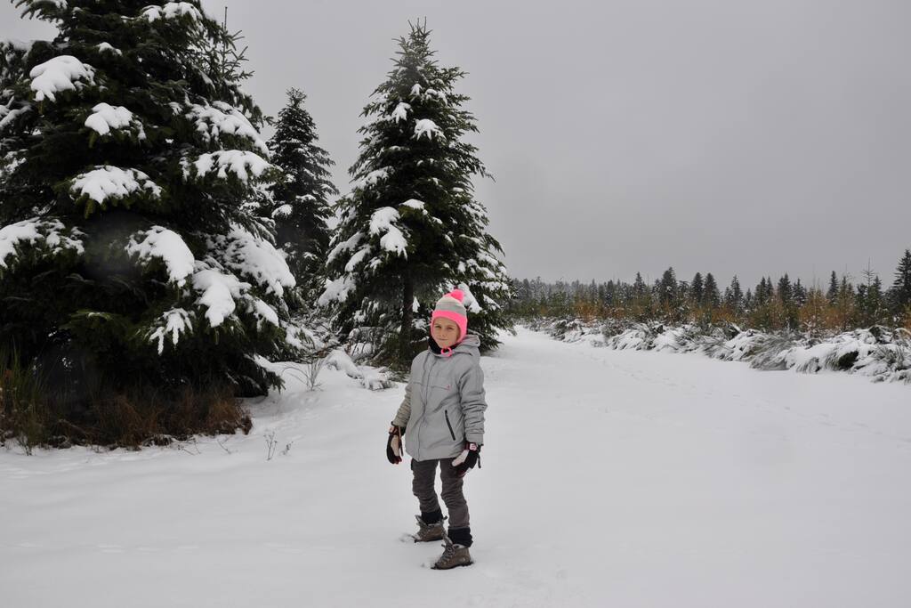 Neige sur le plateau ardéchois près de Saint Bonnet le Froid