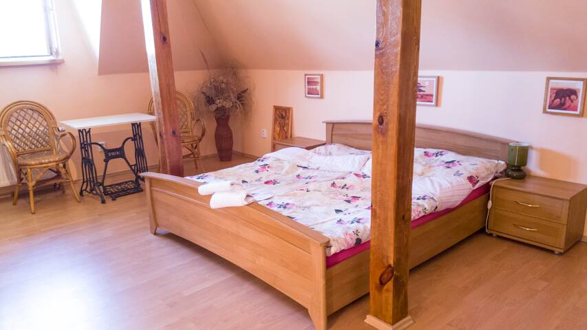 quiet and cozy room in a house with a garden
