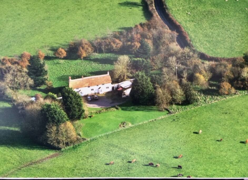 Birds eye view