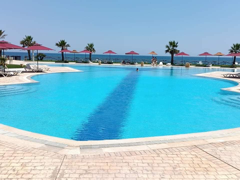 An expansive pool reflects the sunny sky, framed by lounge chairs and maroon umbrellas. Palm trees are positioned around the pool area, with views of the sea visible in the background, creating a calming and open atmosphere.