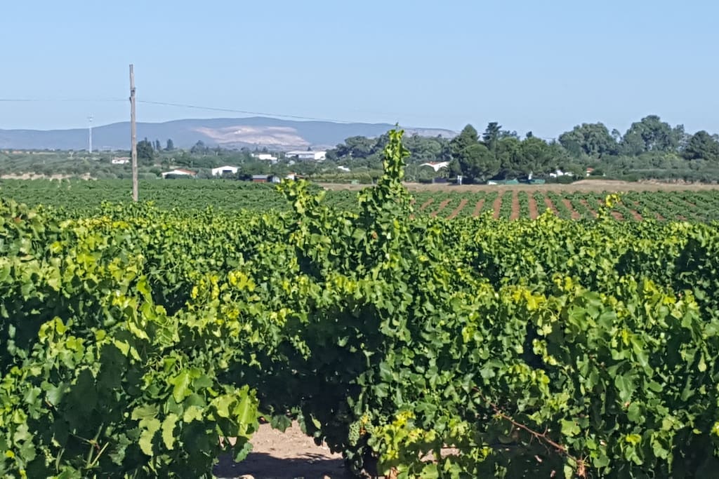 VISTA EL RAPOSO
